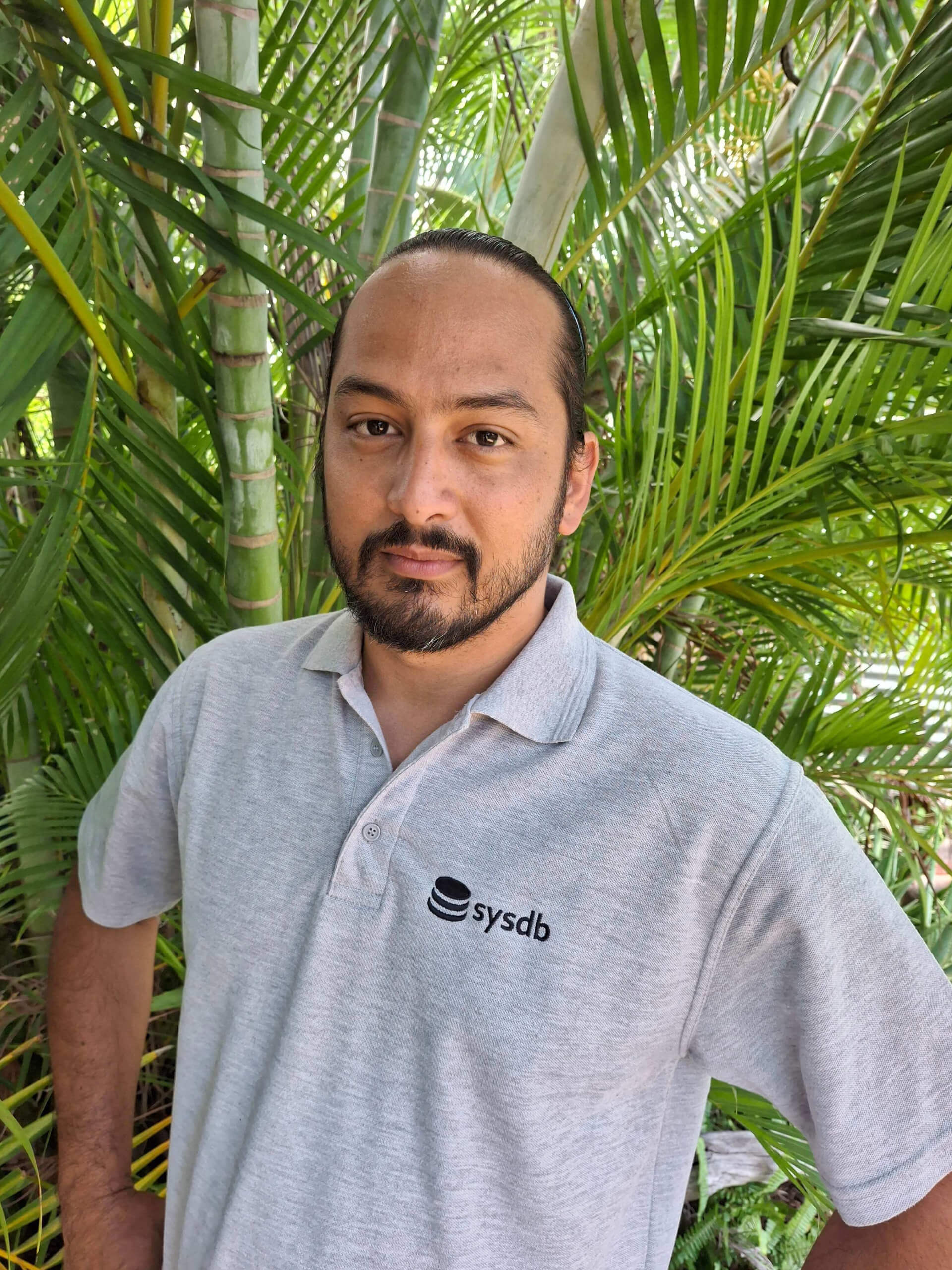 Image de présentation